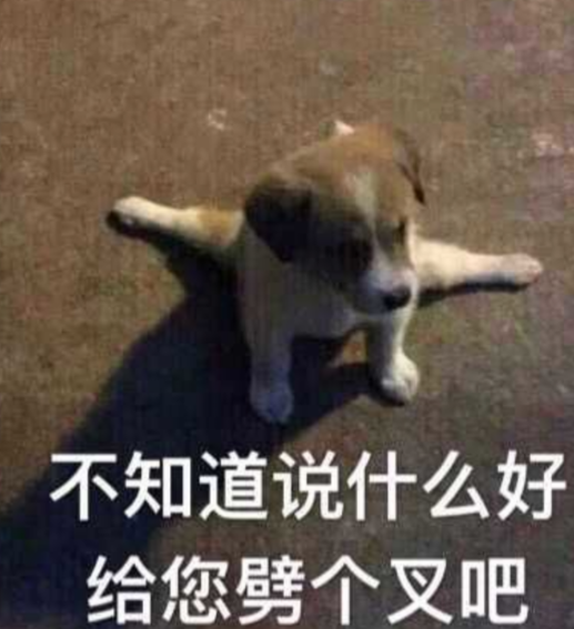 狗子劈叉