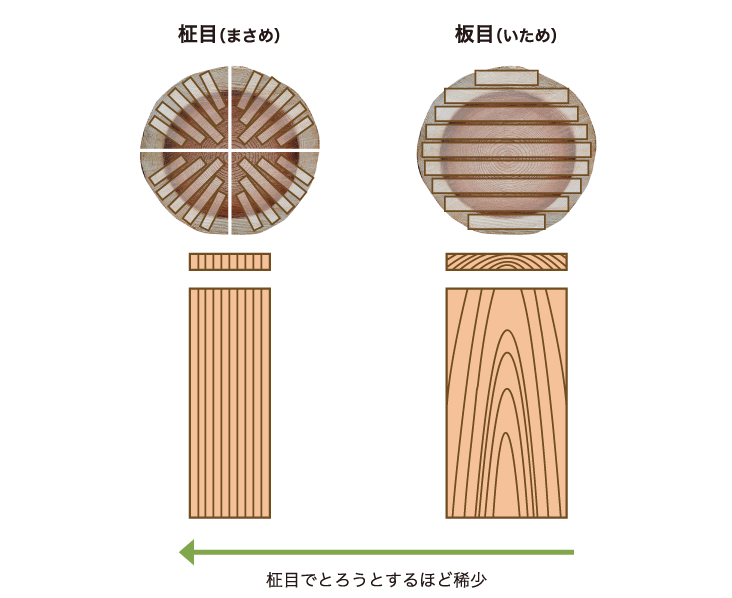 ��ľ��ľ��