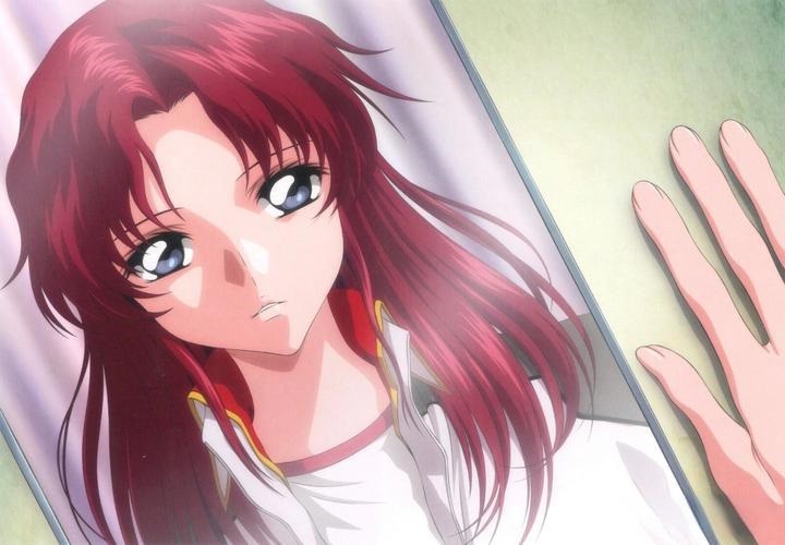 ܽ������ʵͦ��