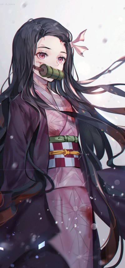 祢豆子
