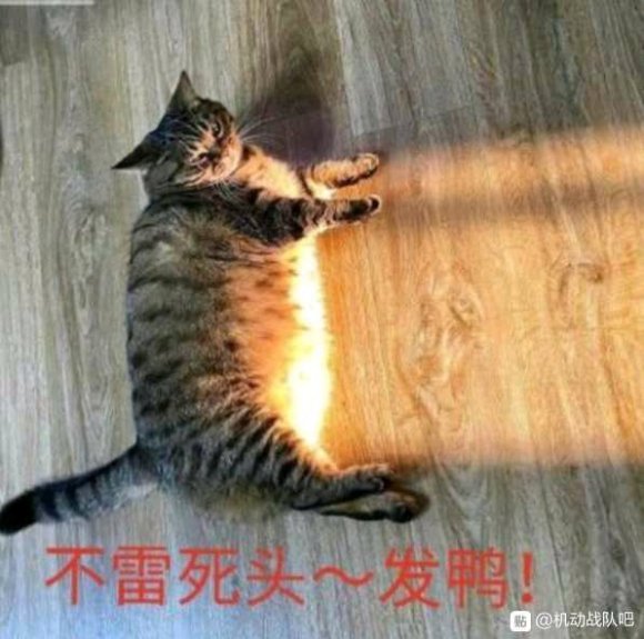 发呀！！！！！