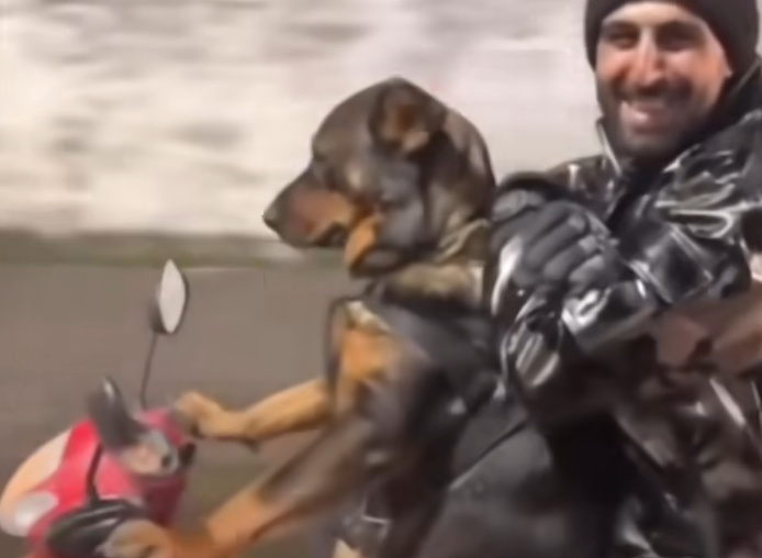 问：A大在干什么？