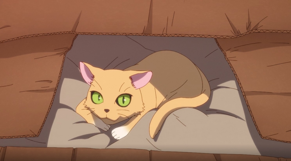 猫猫