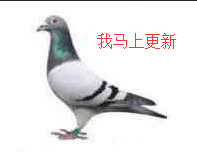 下一章很快就更新！