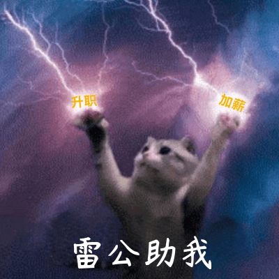 聚天之气，行天之道！