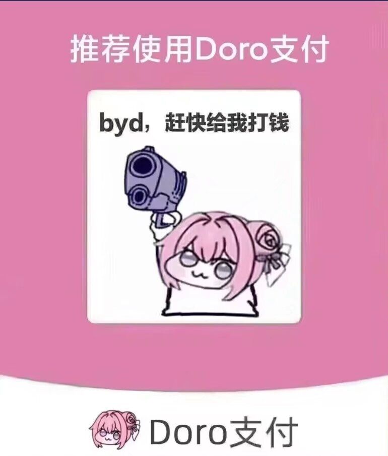 doro支付