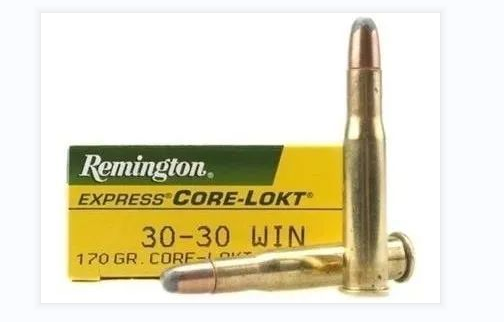 温切斯特点30子弹