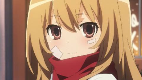 逢坂大河·重现的微笑