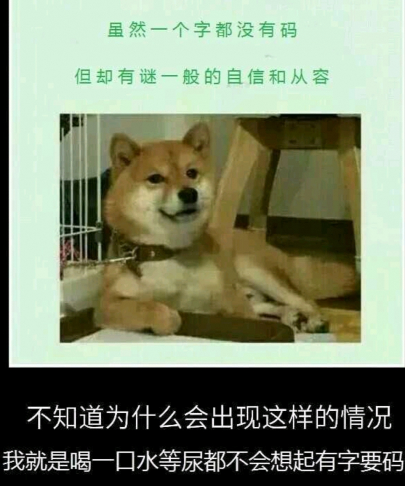 每天的我