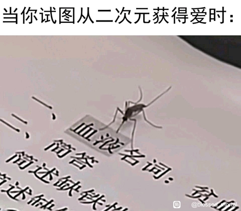 明天的我belike