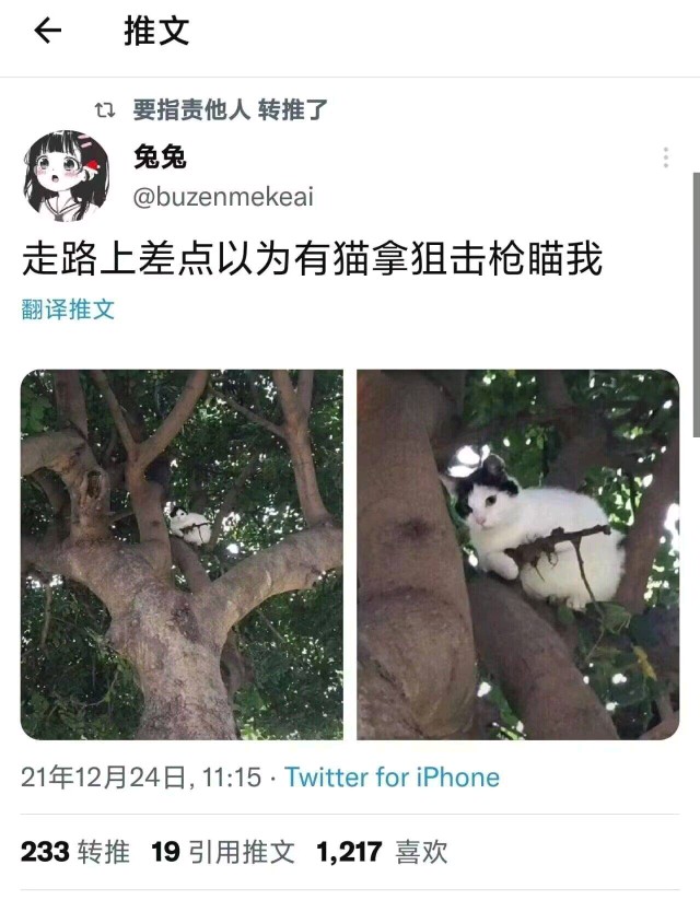 黑鲨!饿啊～