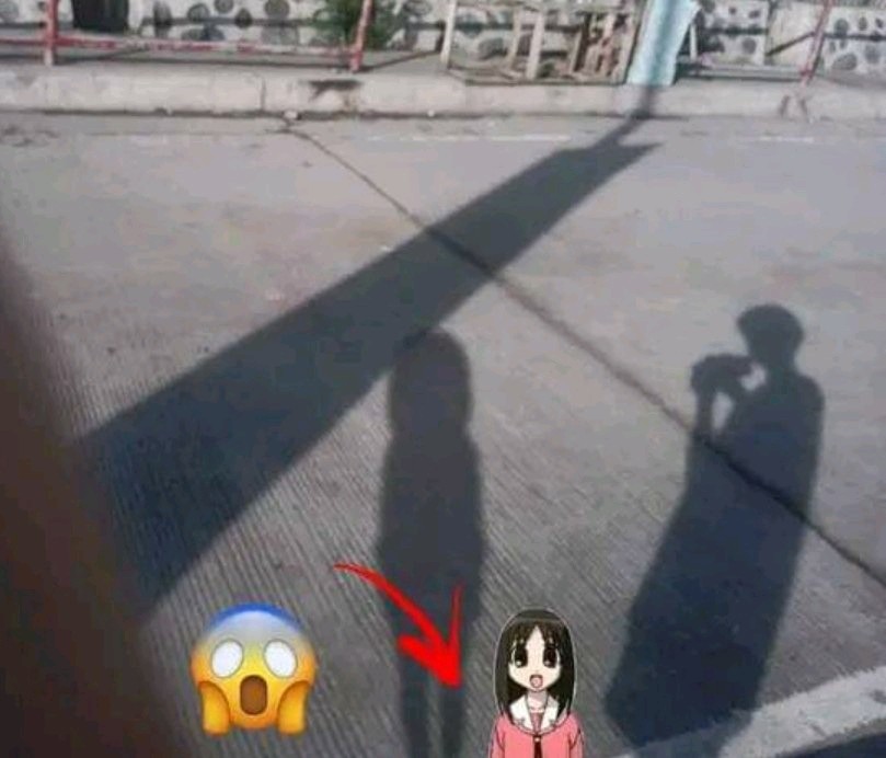 omyga