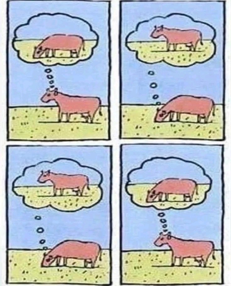 我的每天就像