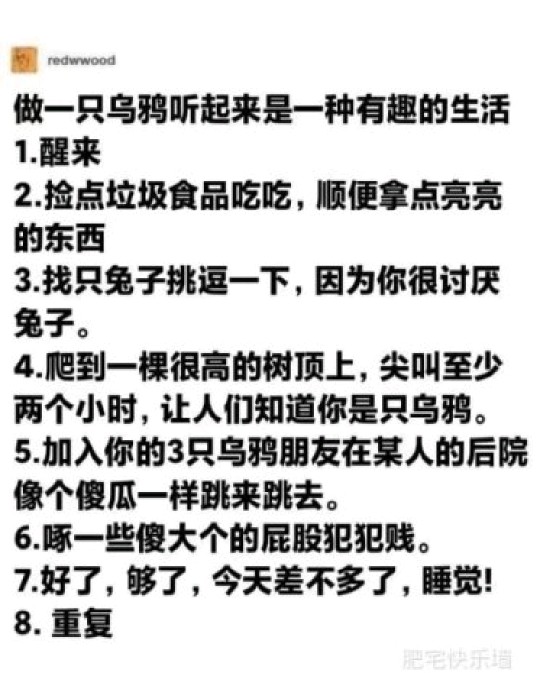 文的每天就像：