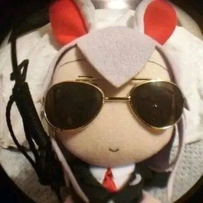 兔!
