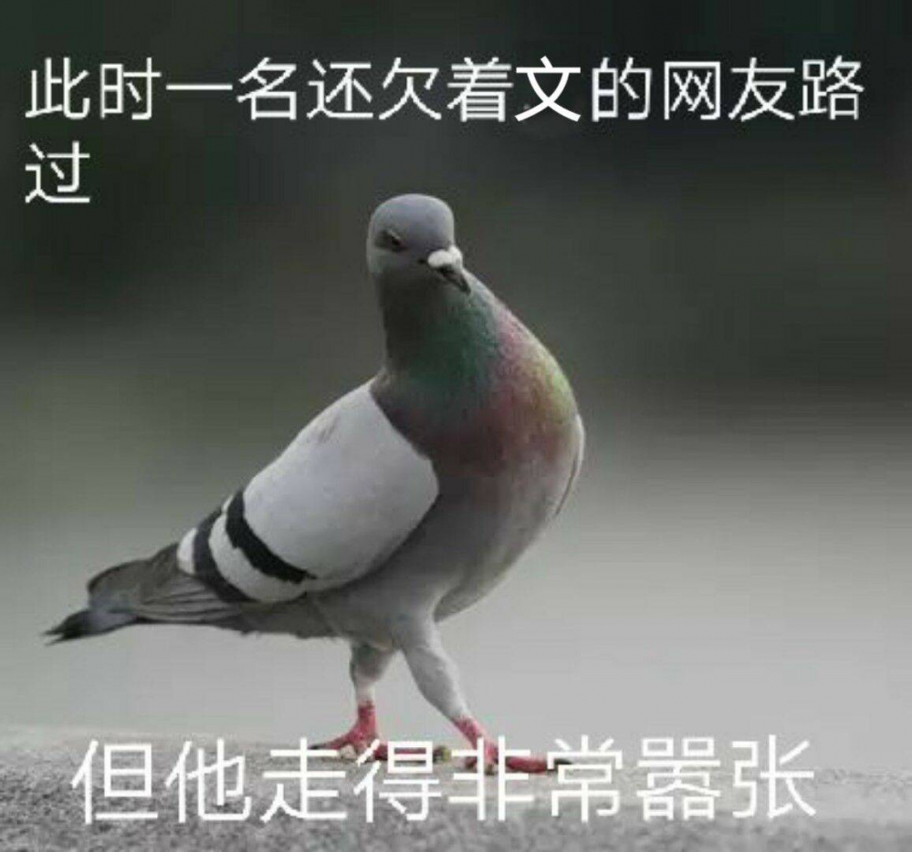 作者现状（误）