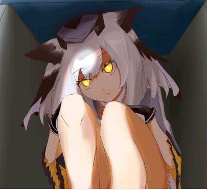 白面鸮（白咕咕）