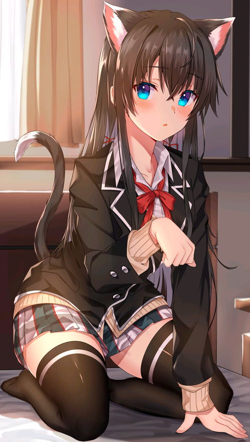 猫乃