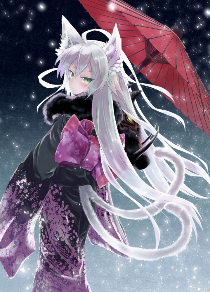 阿塔兰忒  alter