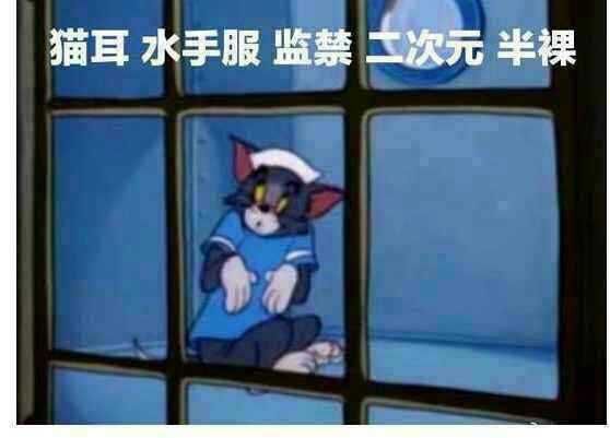 猫耳监禁水手服二次元