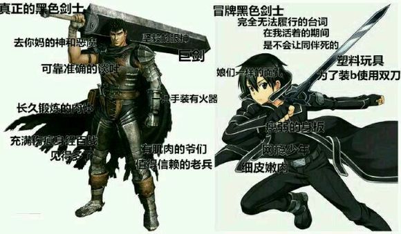 真正的黑色剑士