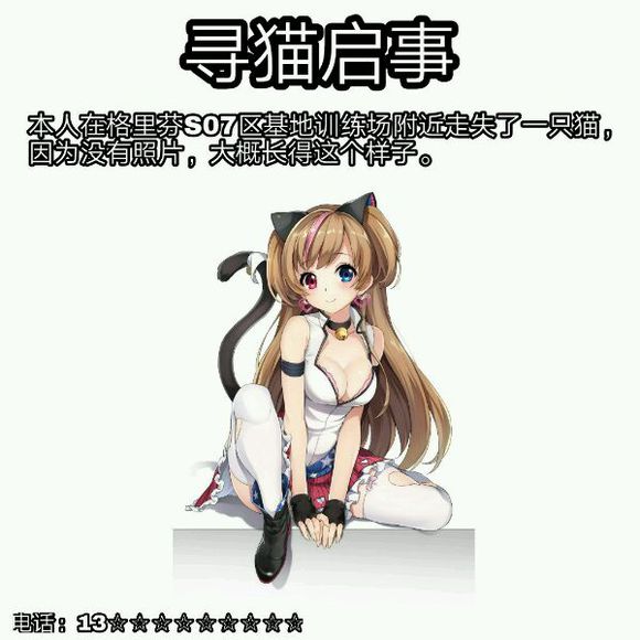 寻猫启示