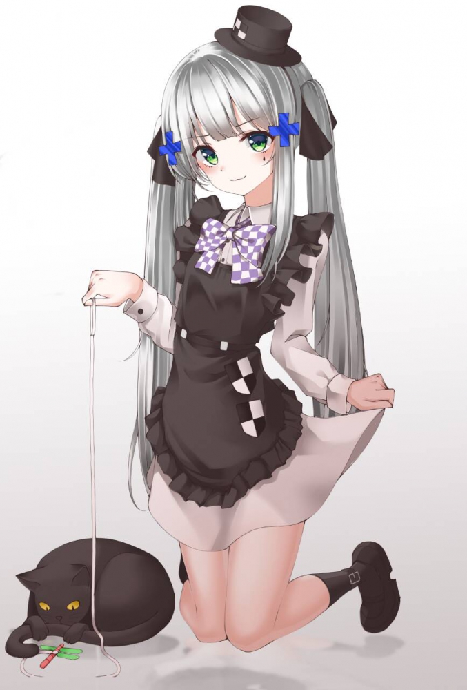 好猫~~