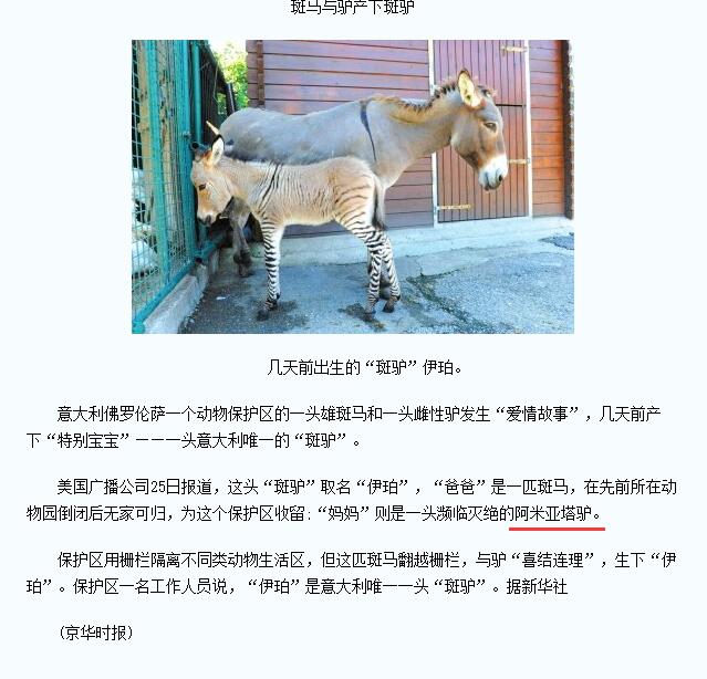 明日方舟有个驴子