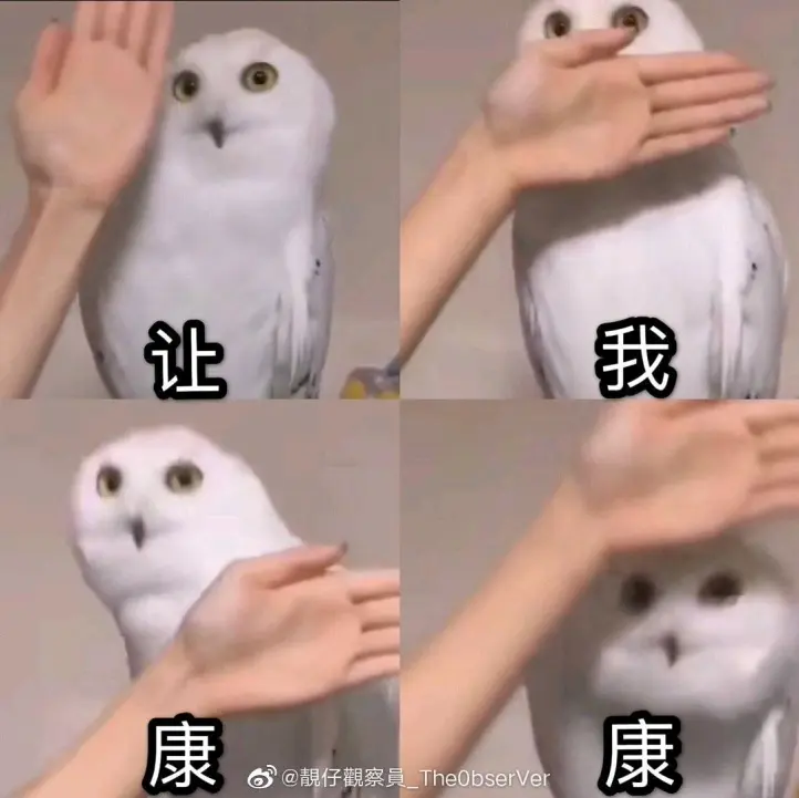 够沙雕，不愧是你