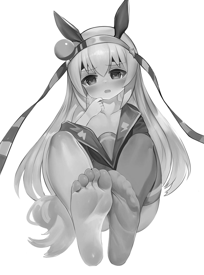 玉藻十字