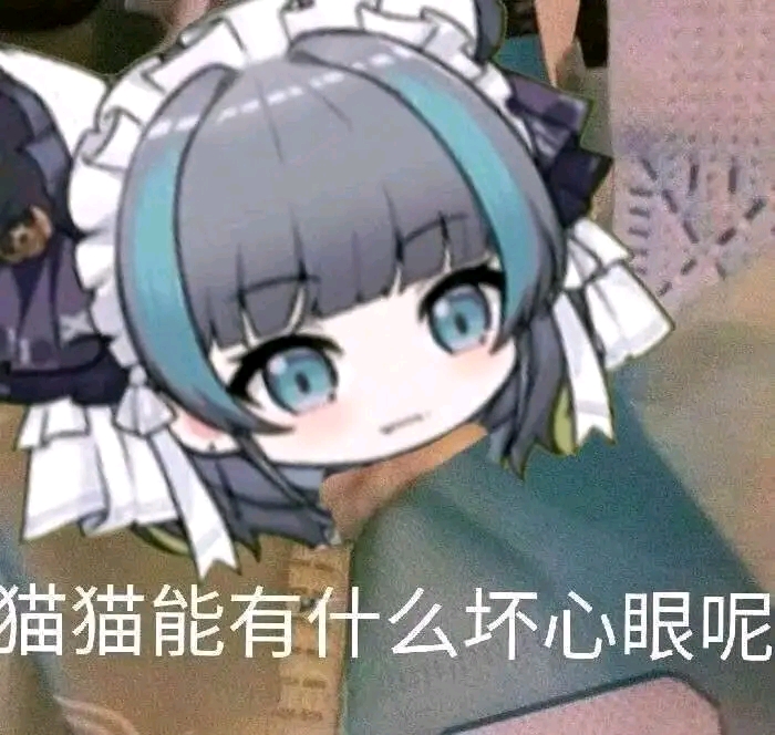 猫猫表情包