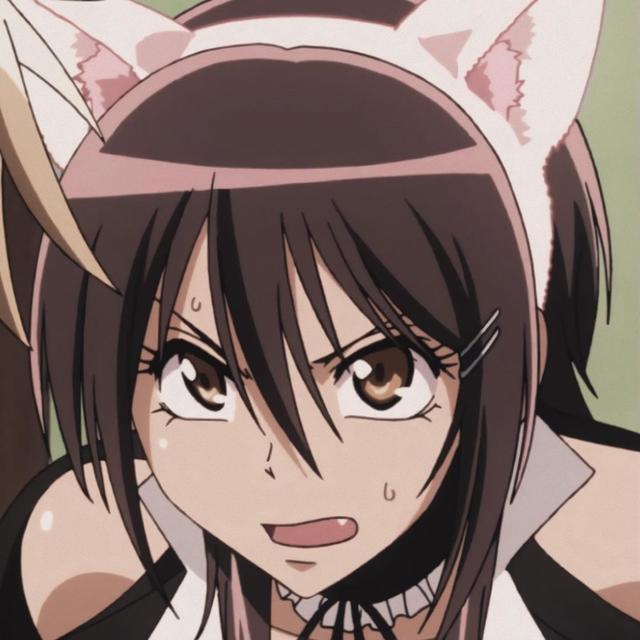 猫儿女仆鲇泽美咲