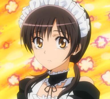 鲇泽纱奈【女仆