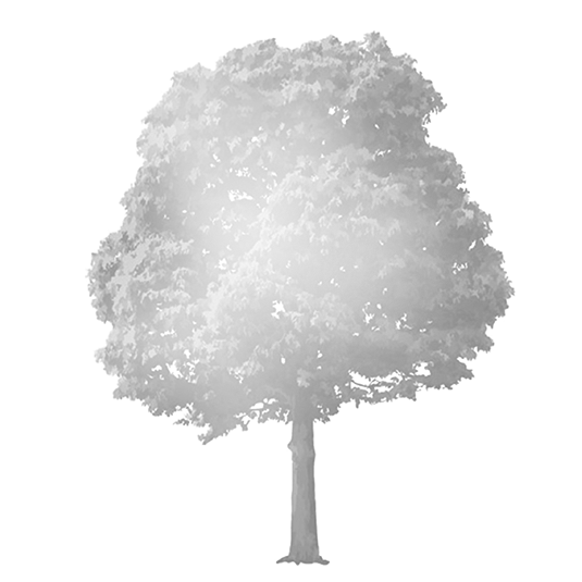 幻影