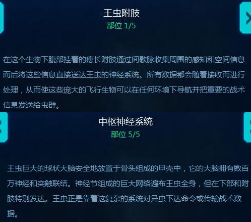 王虫 真正的异虫指挥