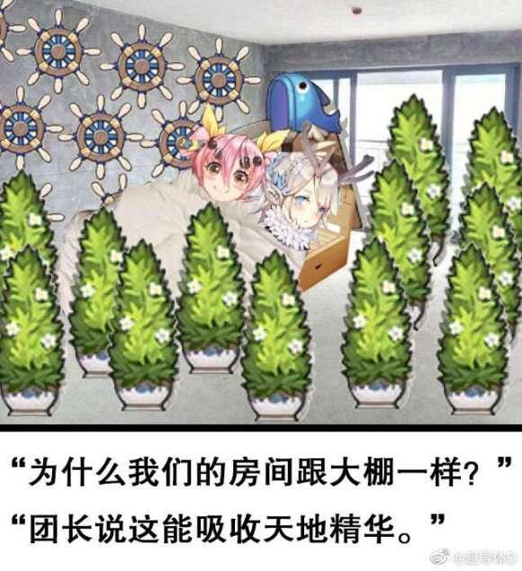 四叶草梗图一