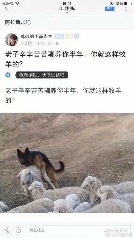 阿拉的错误用法
