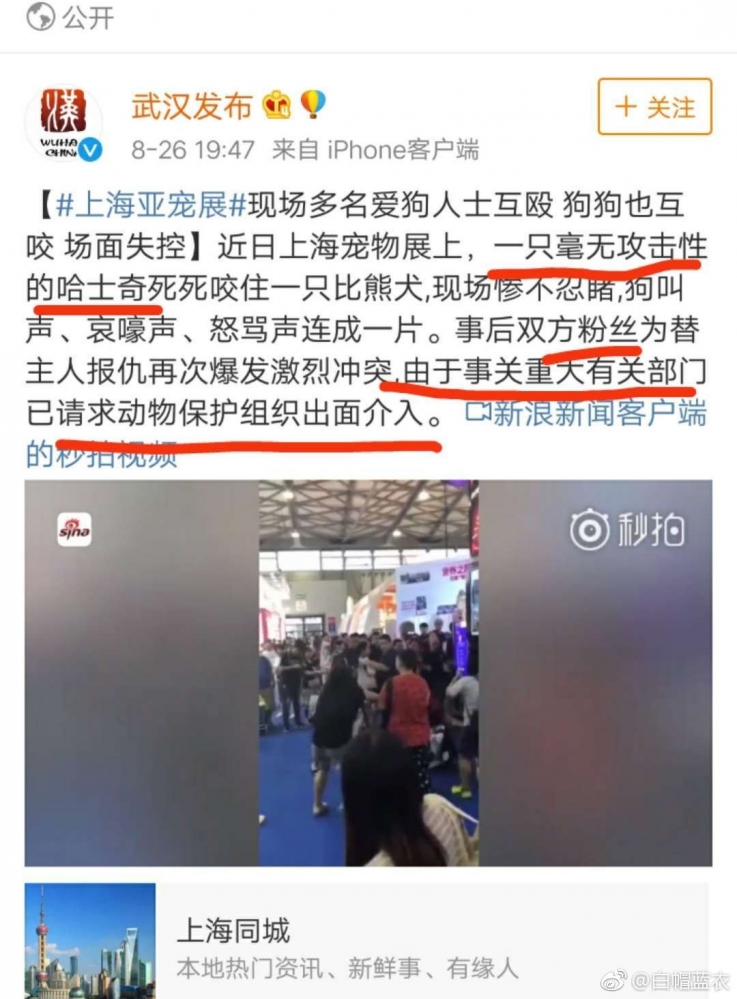 狗咬狗，人……