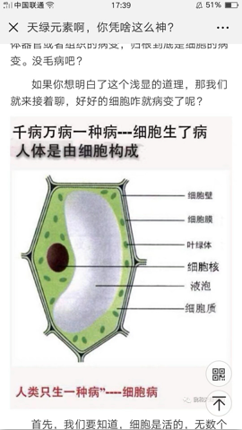 植物人的细胞大概是这