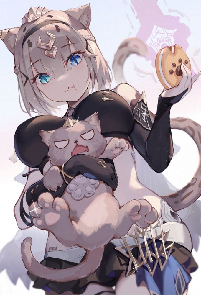 清凉猫猫