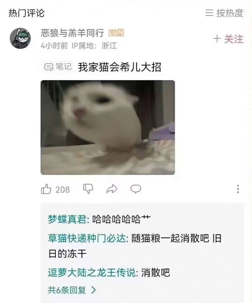 随着猫粮一起消散吧