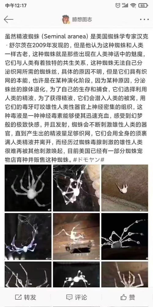 这就是传说中的魅魔？