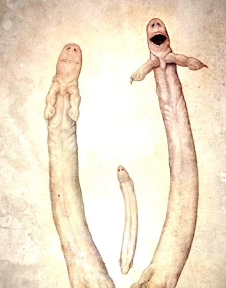 被改造后的香肠人