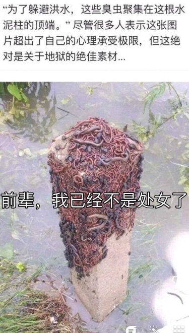 不纯洁