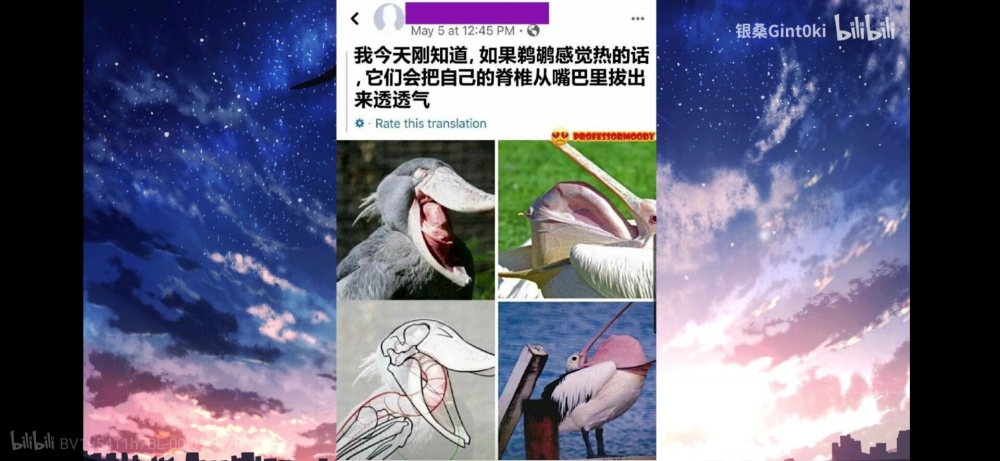 啊？是真的吗？