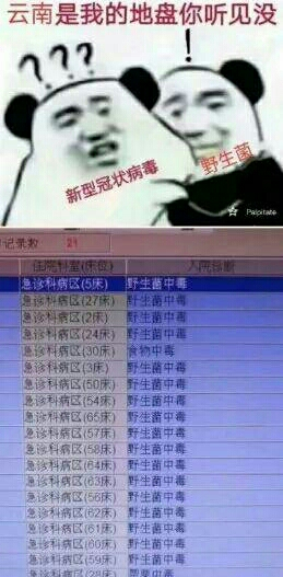 这里是我的地盘