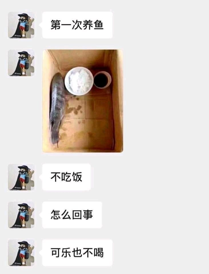 这是条咸鱼吧