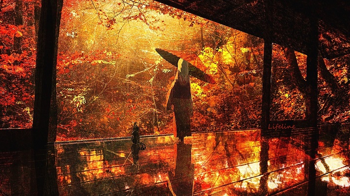 美景2