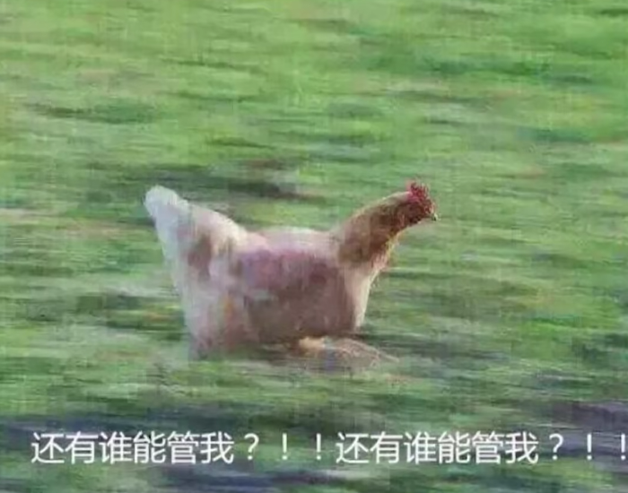 对不起,但实在太像了