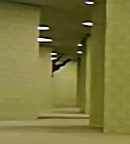 爬天花板的细菌